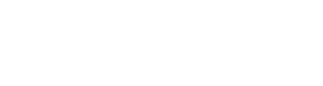 Toyota Logo